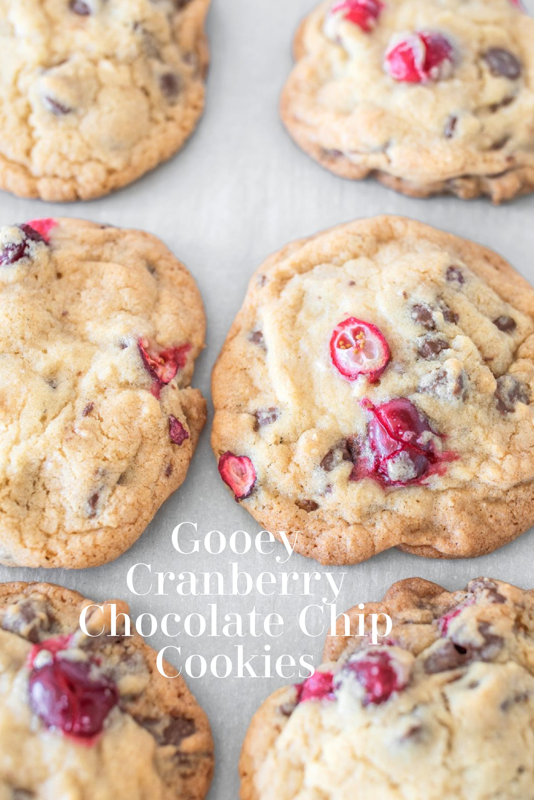 Easy Cranberry Chocolate Chip Cookie Recipe: Bakery-Style Results